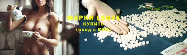 гидра Горняк