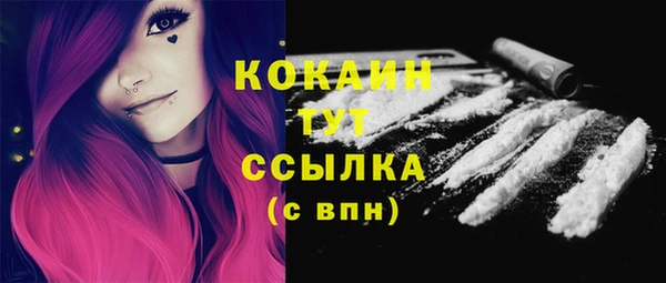 дурь Горно-Алтайск