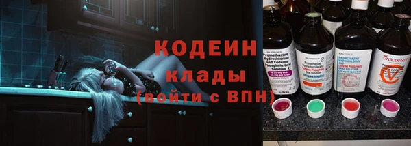 гидра Горняк