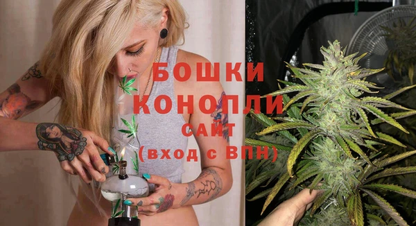 гидра Горняк