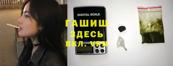 гидра Горняк