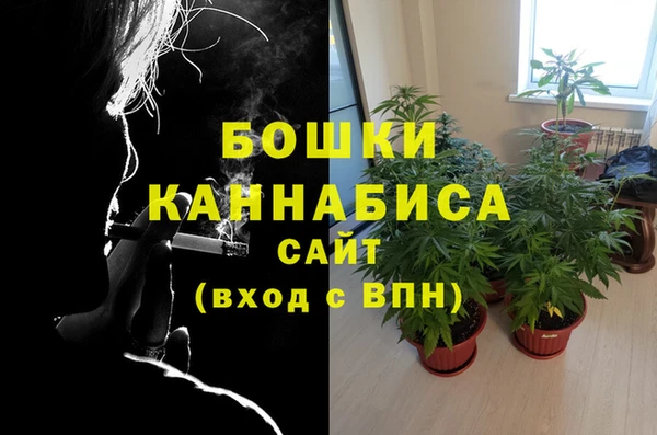 гидра Горняк