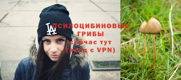 гидра Горняк