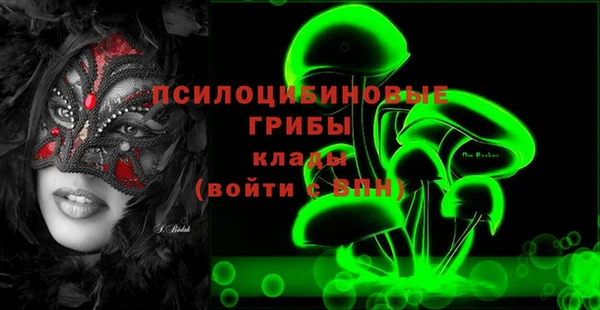 гидра Горняк