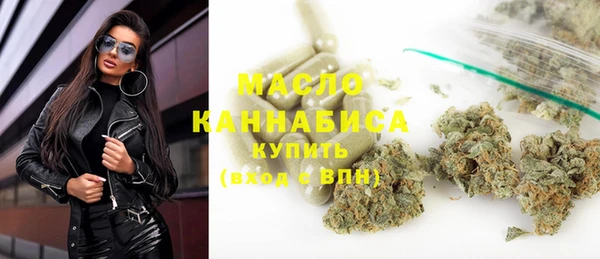 гидра Горняк