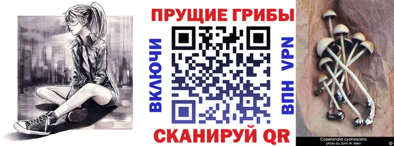 Купить где  Когалым  Галлюциногенные грибы Magic Shrooms 